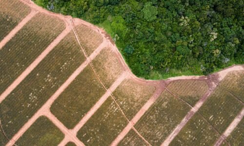 Tecnicatura Universitaria en Gestión Ambiental